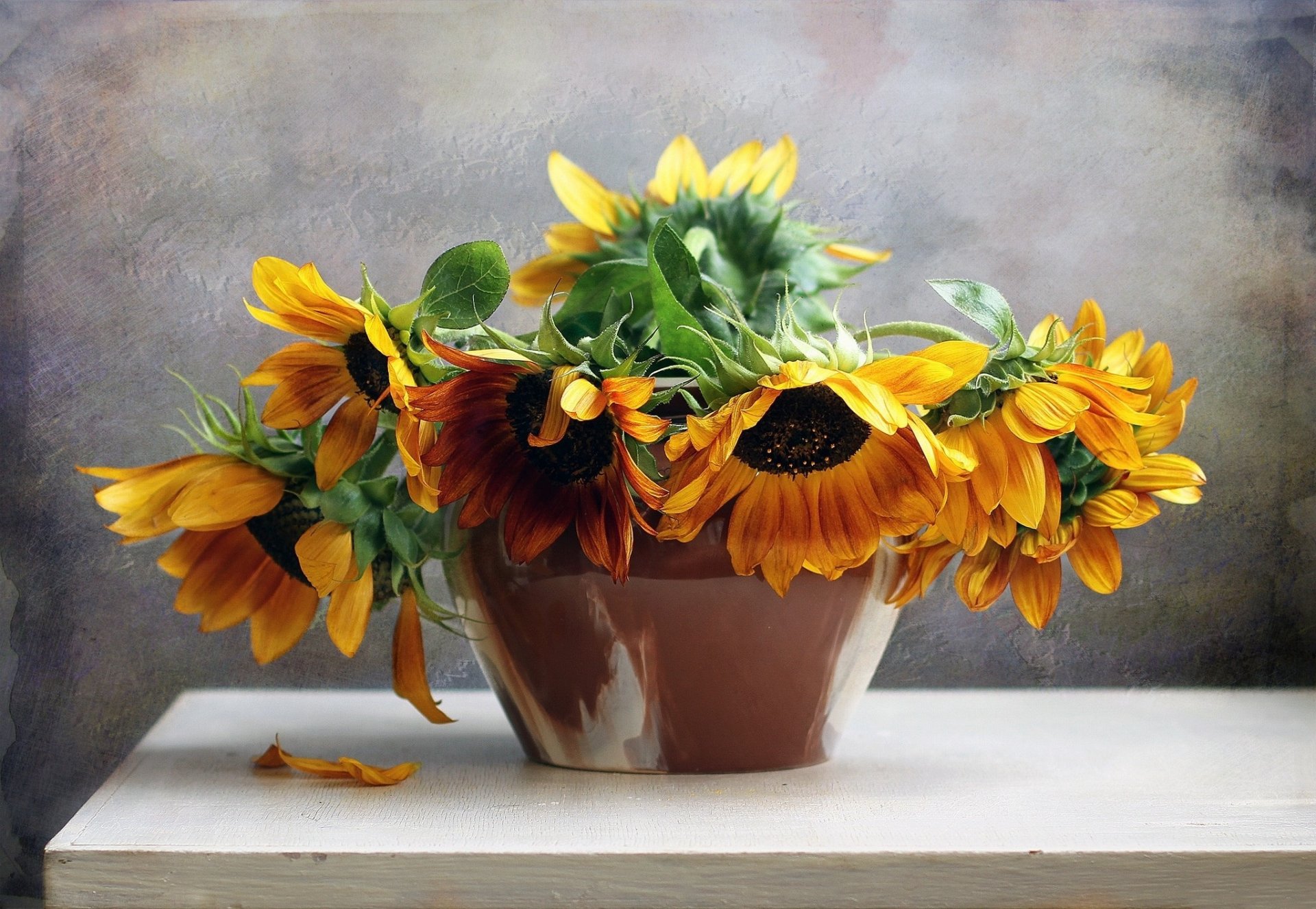 nature flowers flower sunflower life bouquet