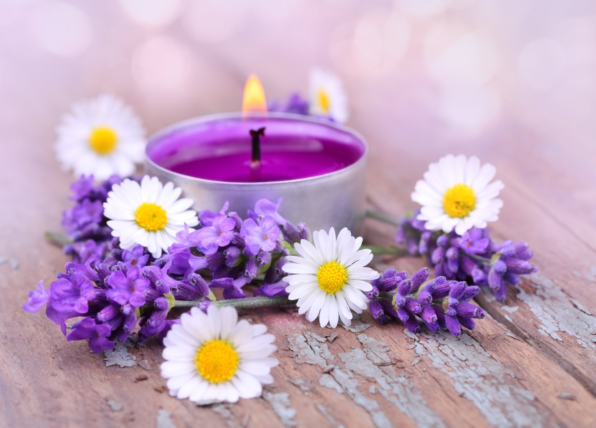 fiori candele lavanda petali