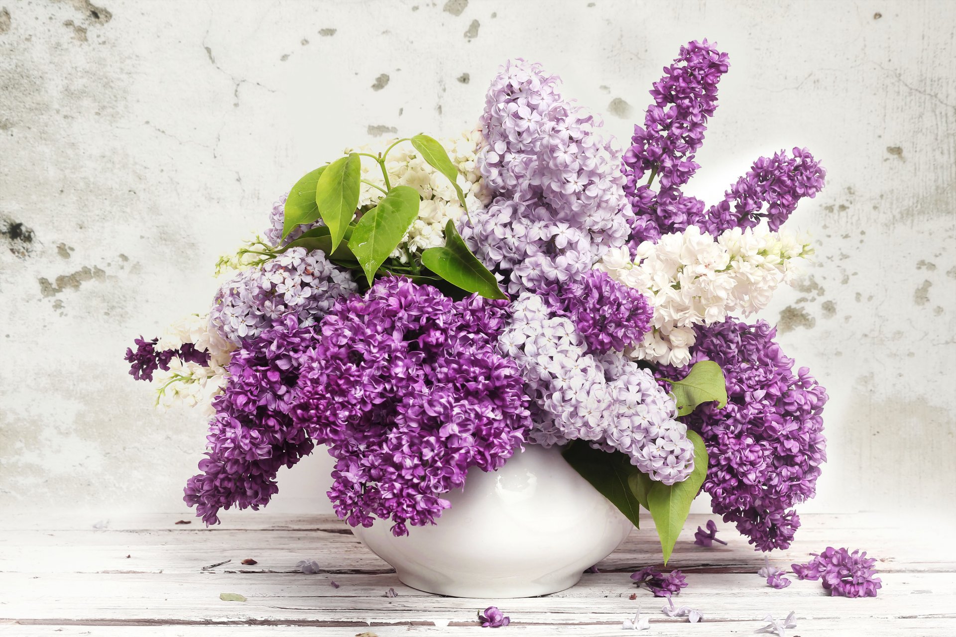 vase lilas feuilles