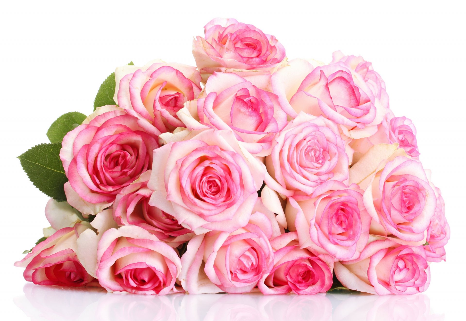 flower roses bouquet pink rose