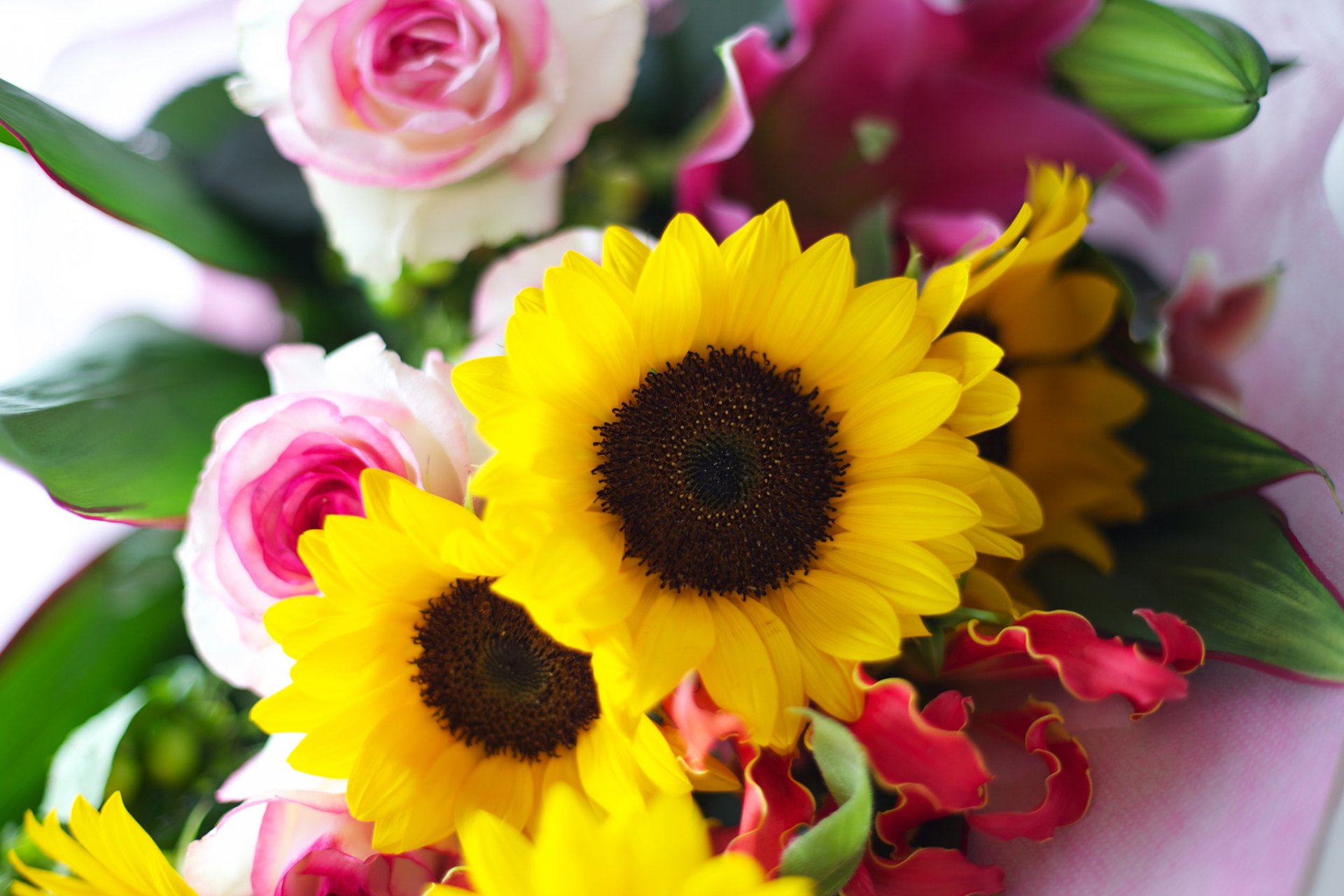 bouquet fiori girasoli giallo rose rosa petali foglie