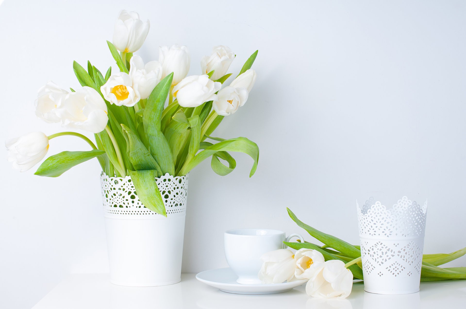 tulpen blumen weiß blätter vase tasse untertasse frühling