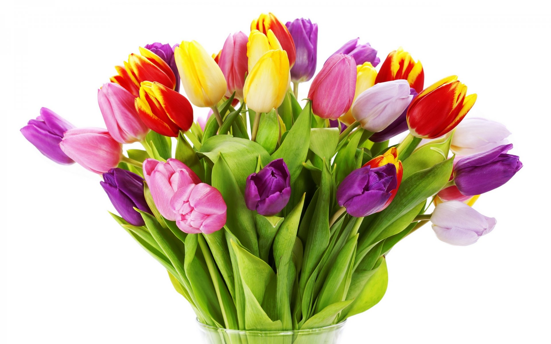 tulips flowers bright bouquet yellow red white pink purple petals vase beauty bright multicolored pink lilac white