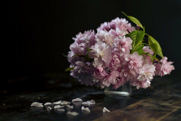 Ramo de flores Rosadas sobre fondo oscuro