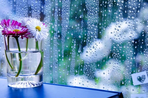 Flowers in a glass on the table near the onka