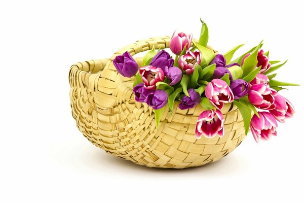 A painted bouquet of tulips in a basket