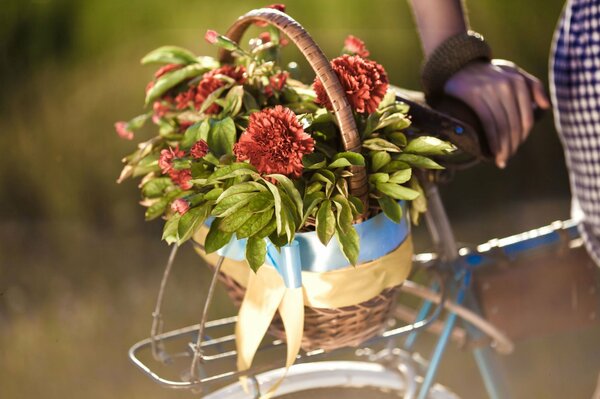 Full-screen background flowers