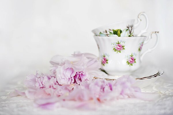 Pink flowers next to cups in saucers