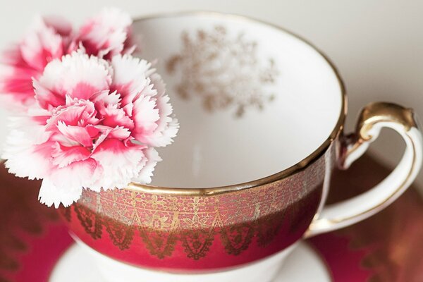 Garofano rosa sul bordo della tazza con ornamento