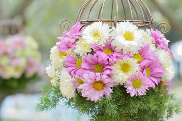 A bouquet of white and pink chrysanthemums and a basket