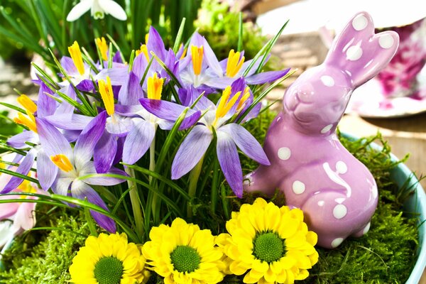 Iris dans un bouquet avec un lapin rose