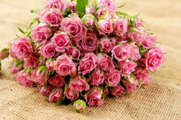 Grand bouquet de roses roses