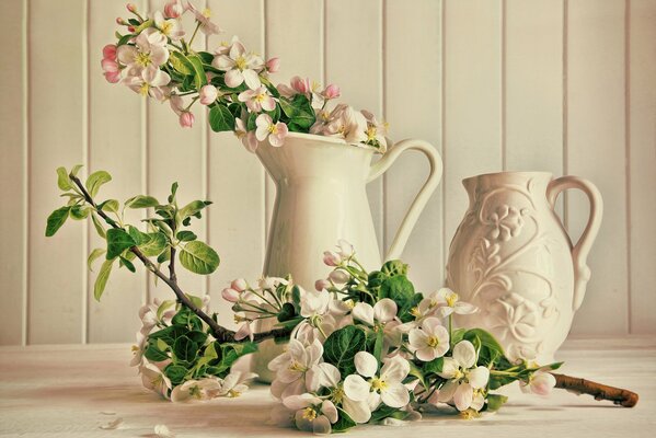 White pink flowers in a jug