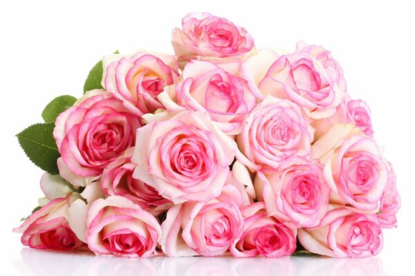 Beau bouquet de grandes roses roses