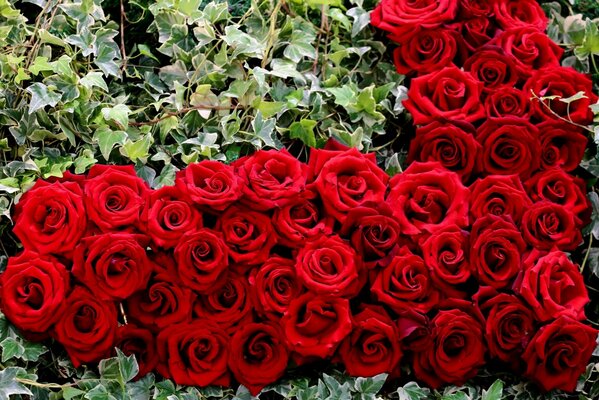 Grande mazzo di rose rosse