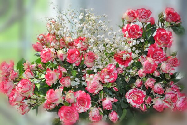 Bouquet of colorful roses on a blurry background