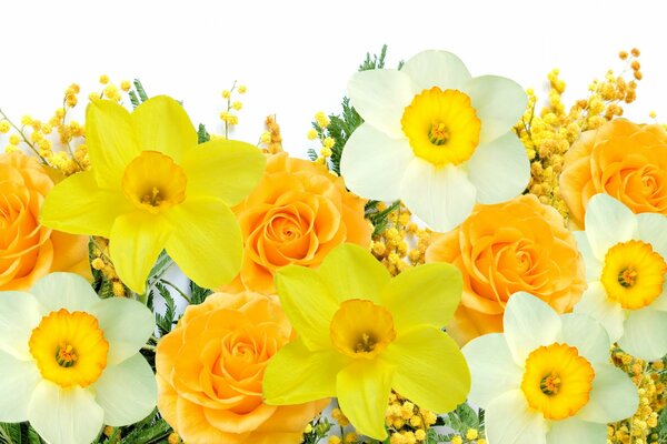 Daffodils and mimosa in a yellow bouquet