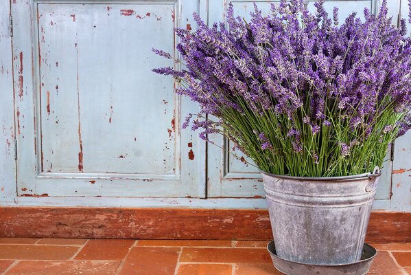 Bodegón con lavanda en tonos morados