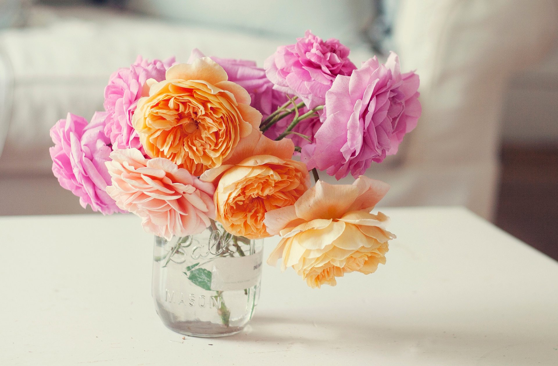 roses flower pink orange petals bouquet of the bank