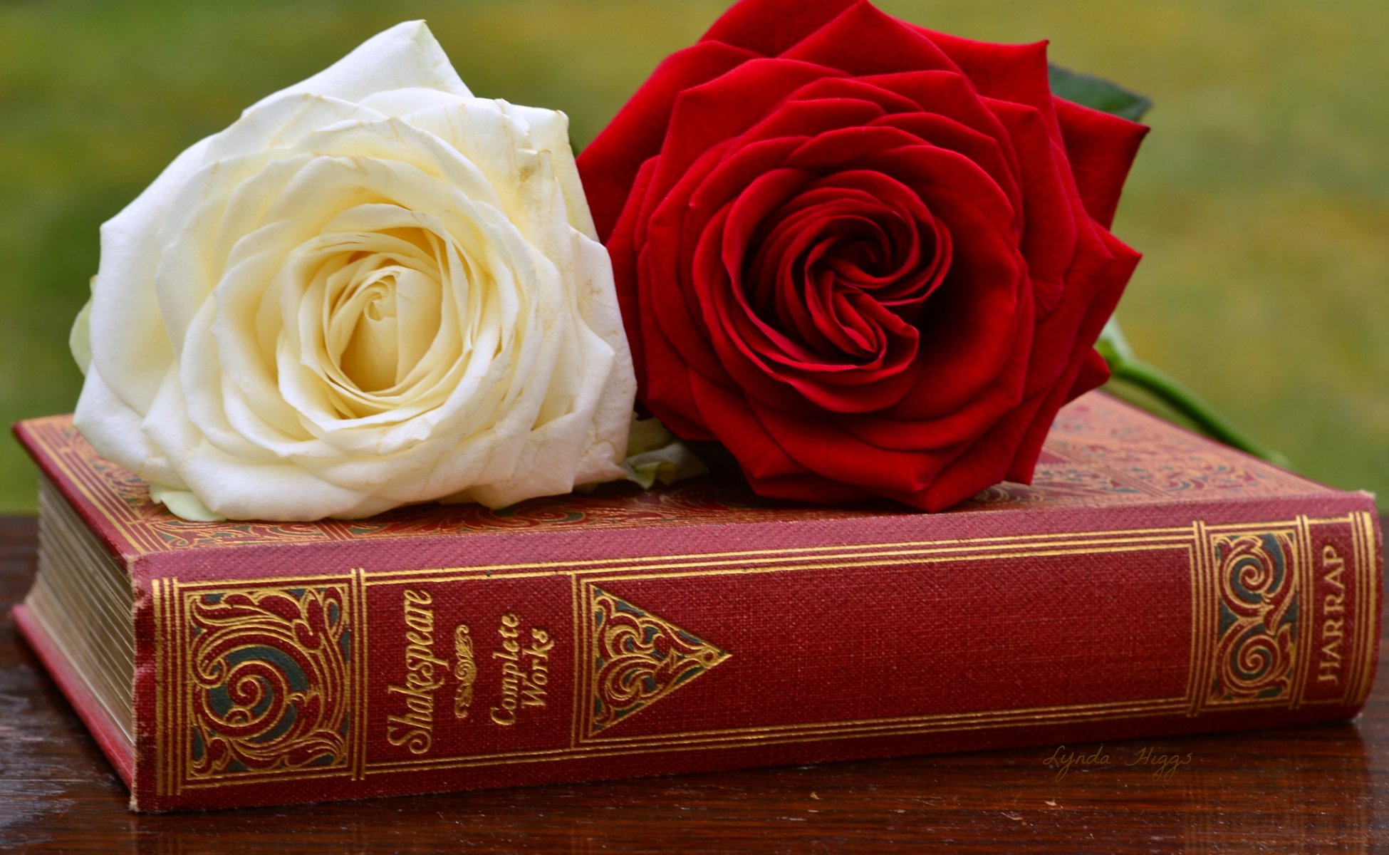 roses book bud