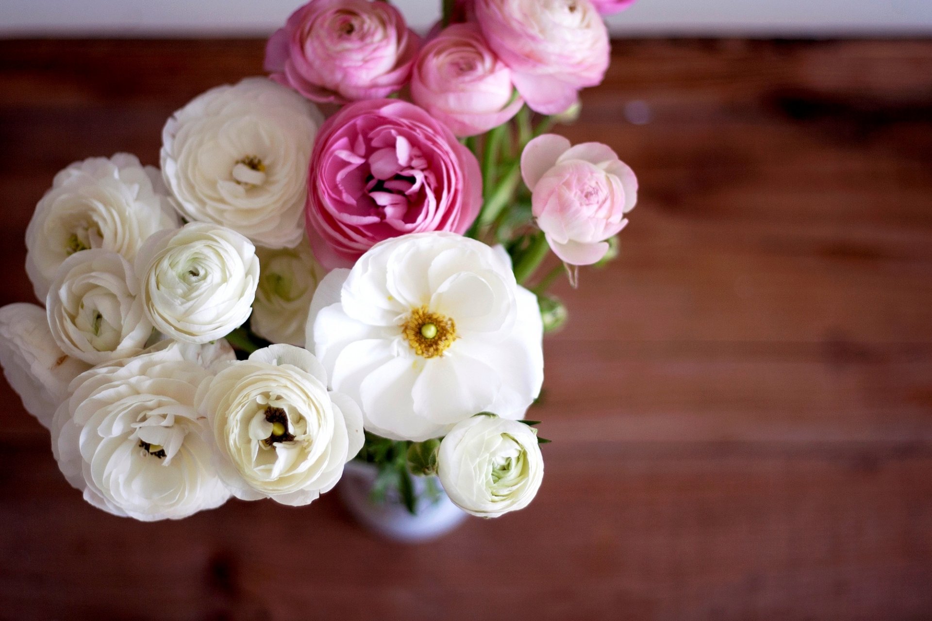 ranuncoli ranuncolo bouquet fiori bianco rosa boccioli petali vaso