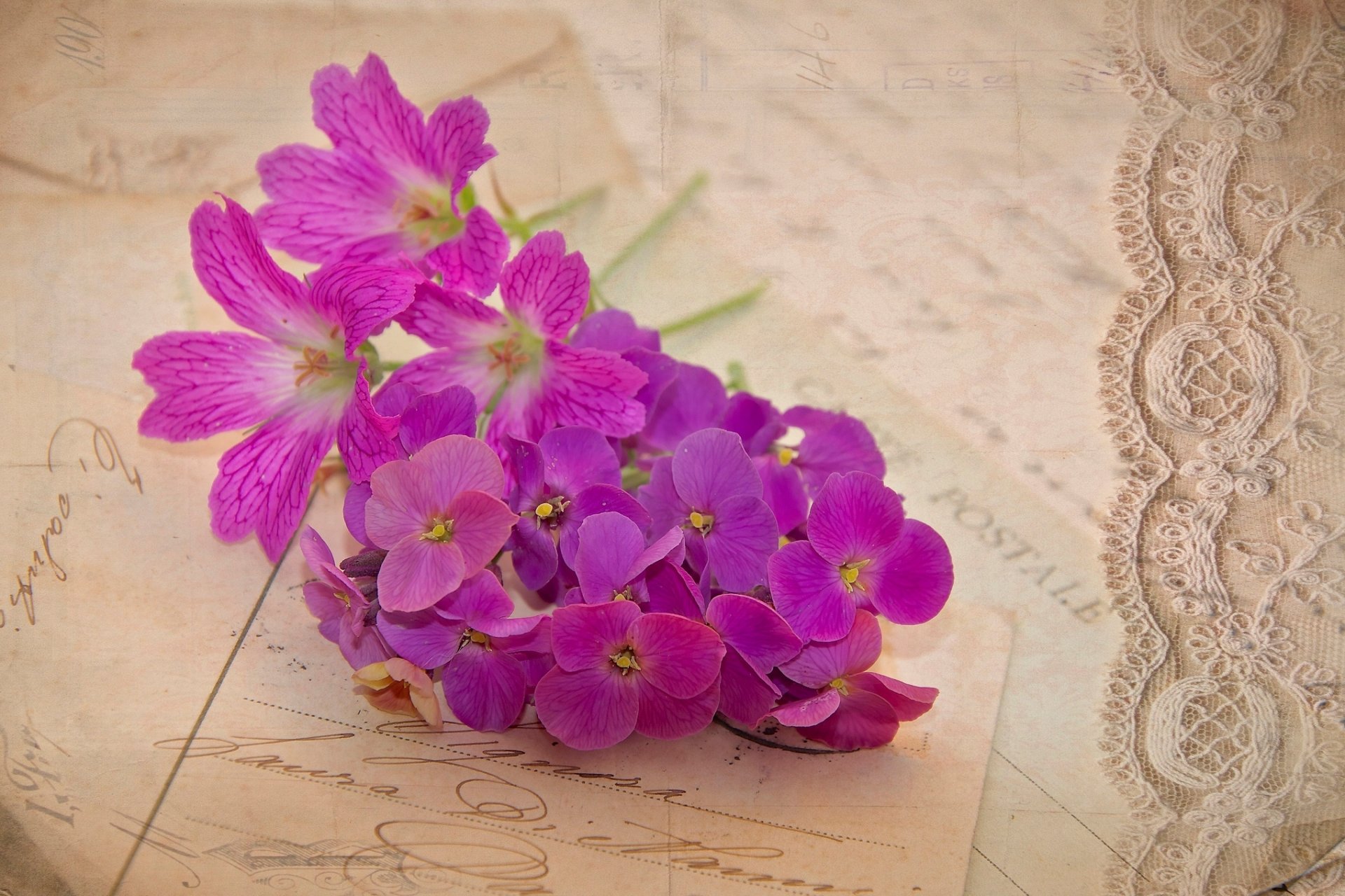 géranium fleurs lilas cartes postales lettres vintage