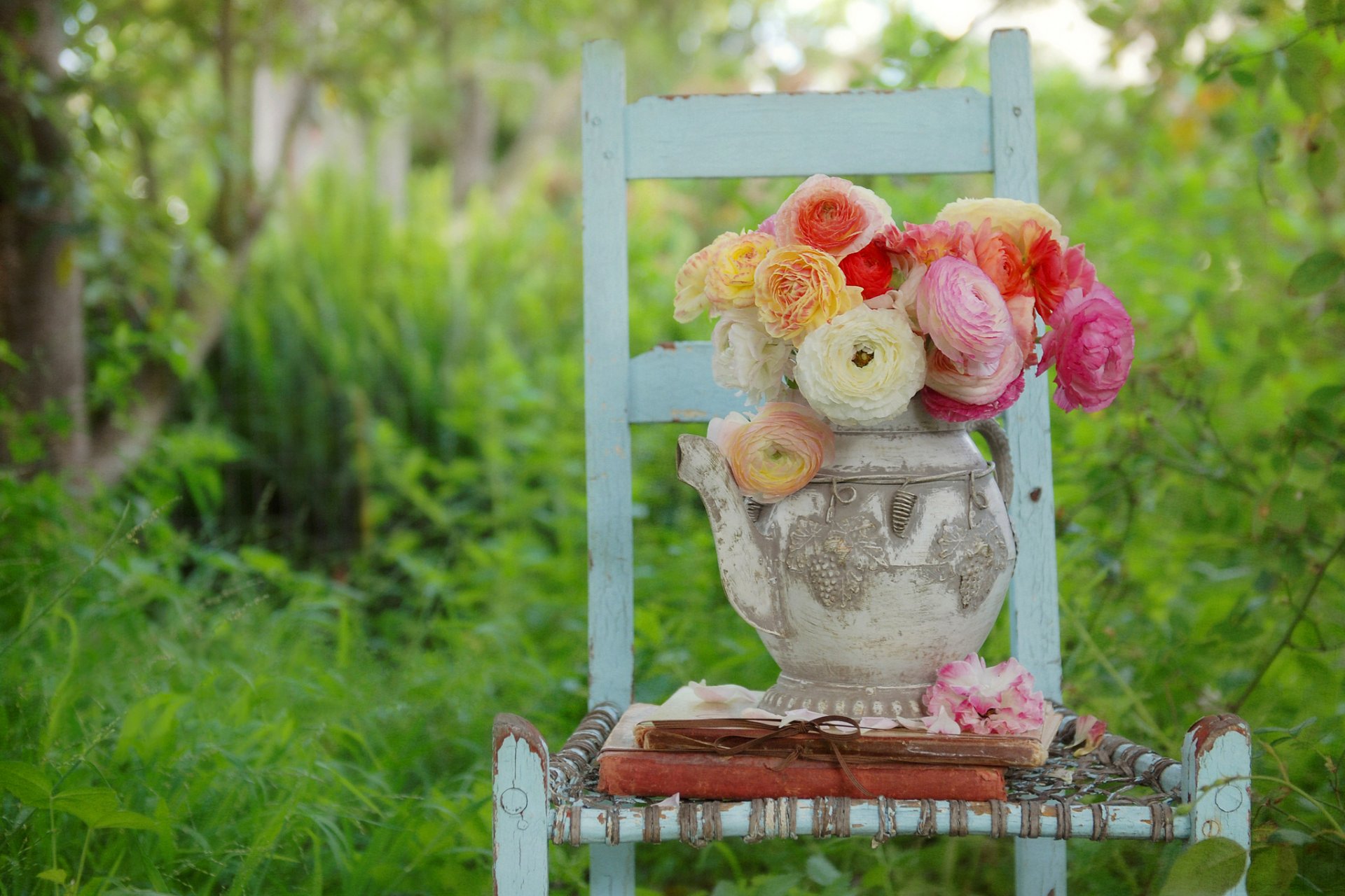 fiori boccioli petali bianchi rosa gialli giardino erba sedia libri