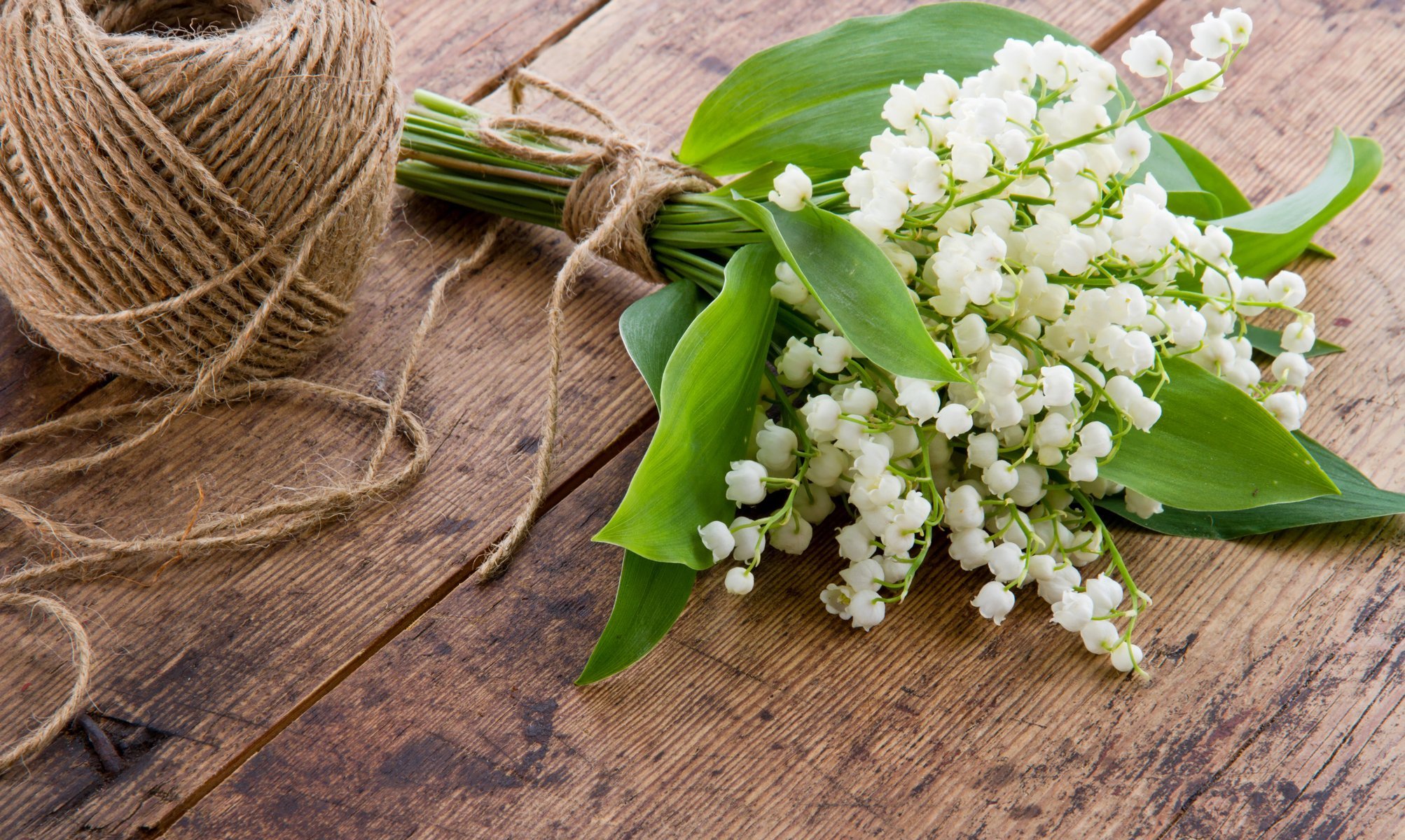 muguet fleurs blanc bouquet écheveau fil printemps