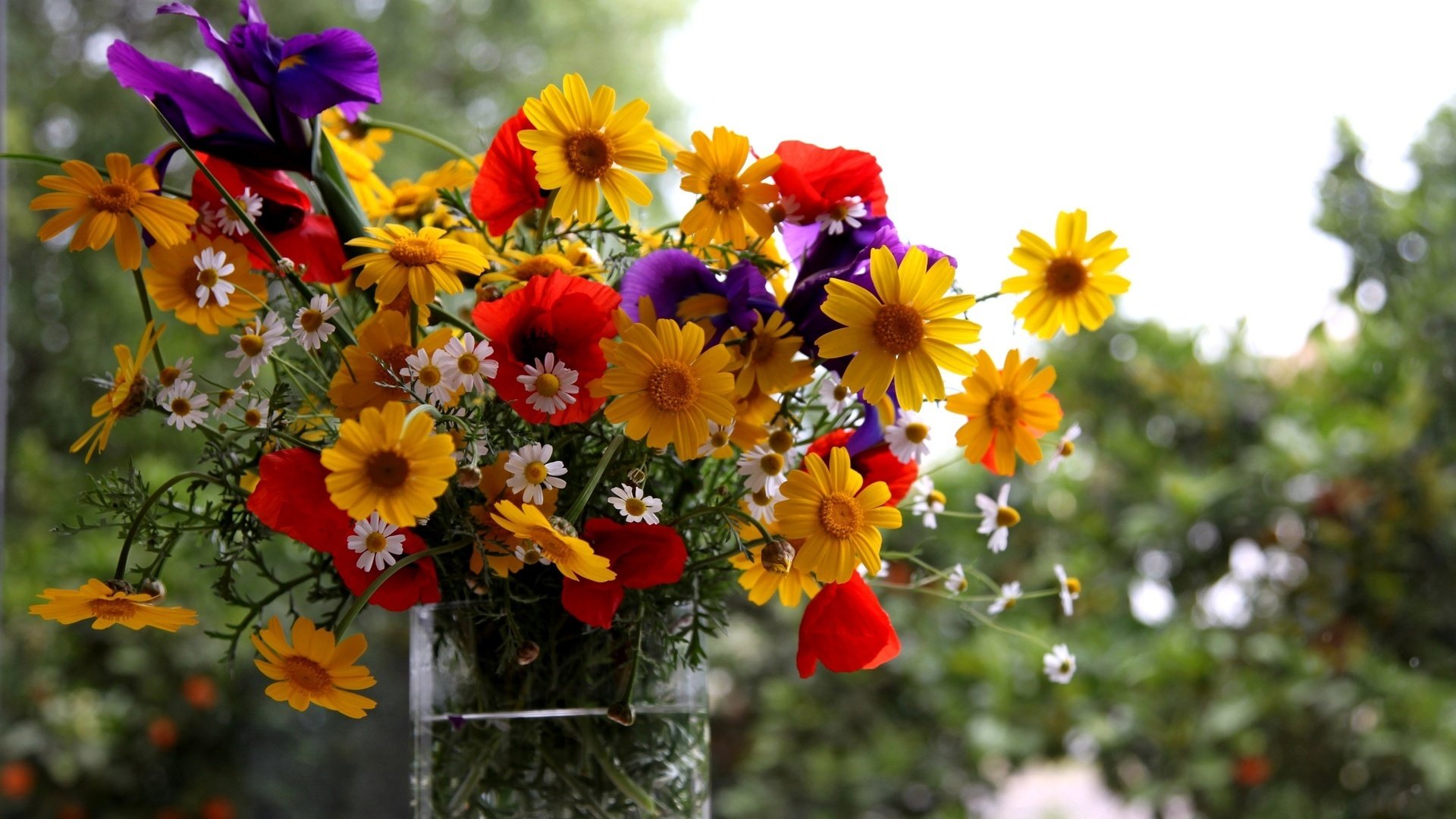 ummer vase flower bouquet