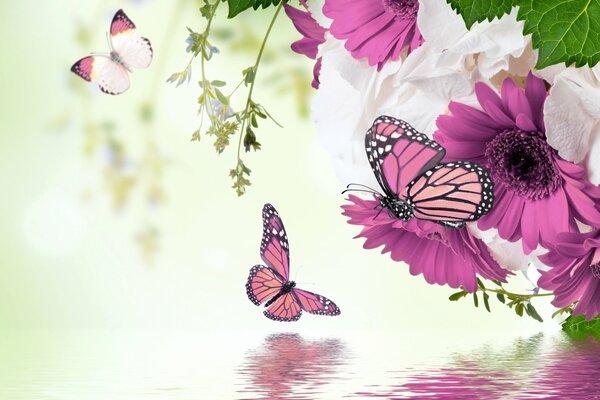 Pink reflection of berbers and butterflies on the water surface