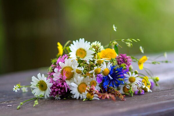 Bouquet sans prétention de fleurs sauvages