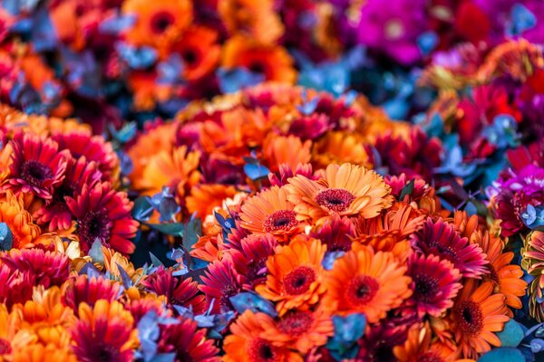 Bouquets orange et rouge vif