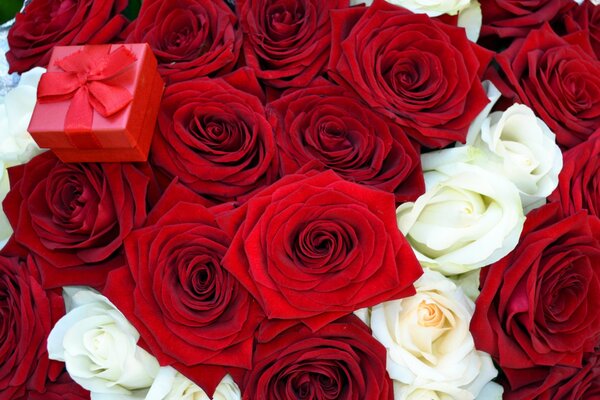 A large bouquet of roses for the most beloved