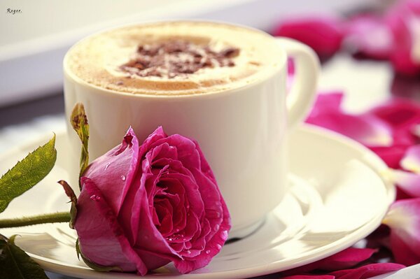 Rosa con una tazza di cappuccino romanticismo