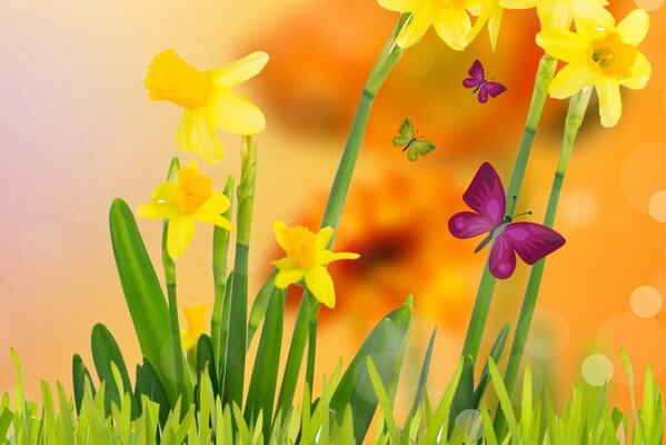 Jonquilles et papillons parmi eux