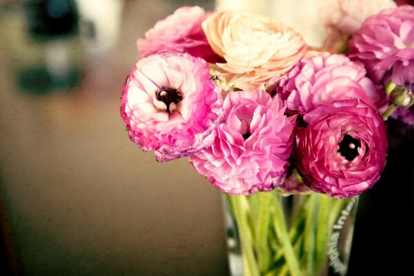 Bouquet of pink buttercups in a vase