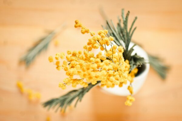 Ramo giallo di mimosa in vaso sul tavolo