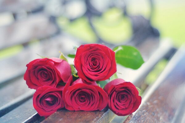 A bouquet of five red roses lies forgotten on a wooden bench