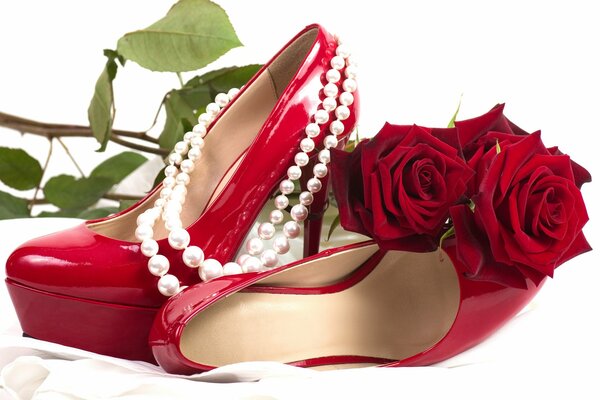 Roses rouges derrière des chaussures sexy avec un collier