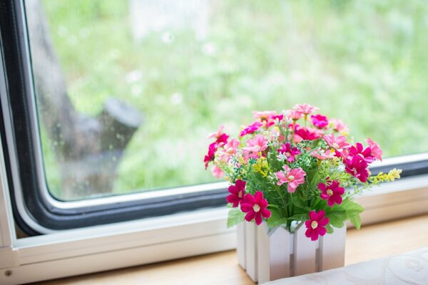 Rosa Gänseblümchen in einer Vase auf der Fensterbank