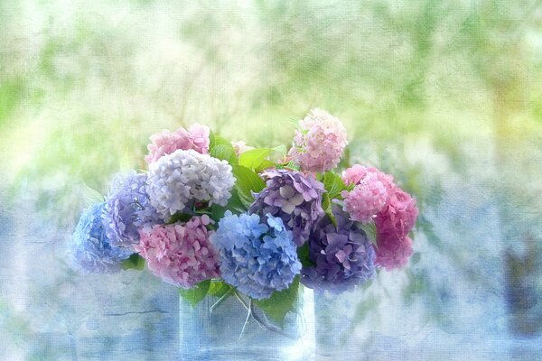 Flawless hydrangeas in a transparent vase