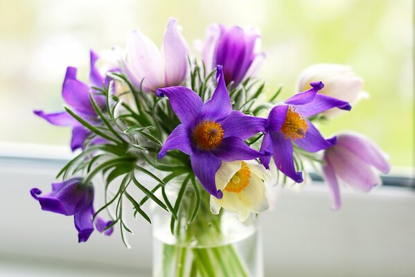 Die ersten Frühlingsblumen im Glas