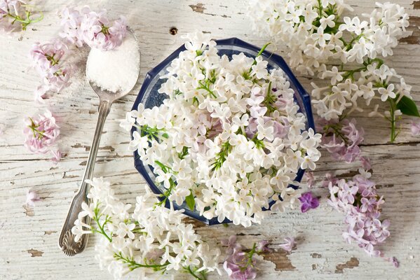 Flores Lilas blancas en la mesa en el plato