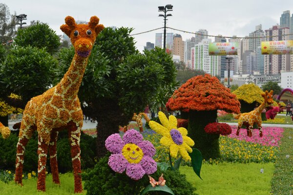 Arbustos en forma de jirafa, flores y hongos. Parque