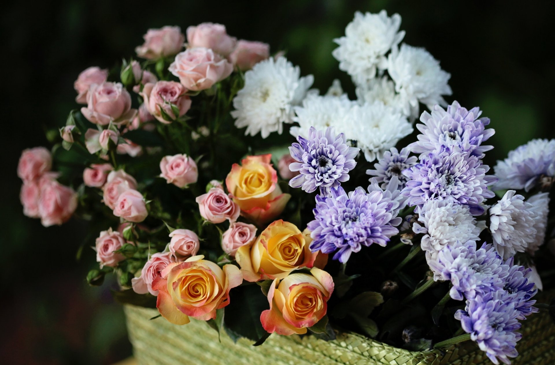 roses chrysanthemum buds © elena di guardo