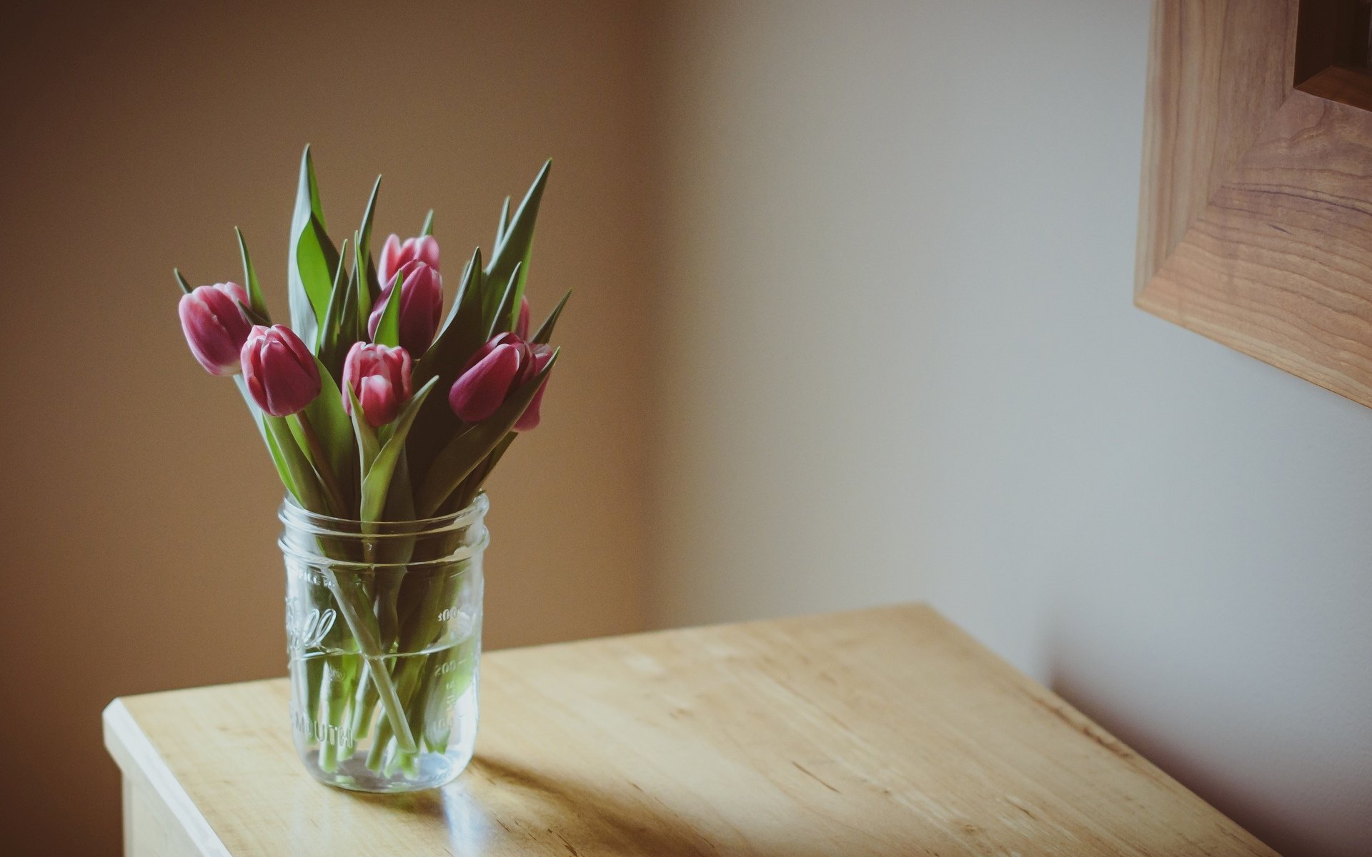 blumen blumen blümchen lila tulpen blume blätter vase vase tisch hintergrund tapete widescreen vollbild widescreen widescreen