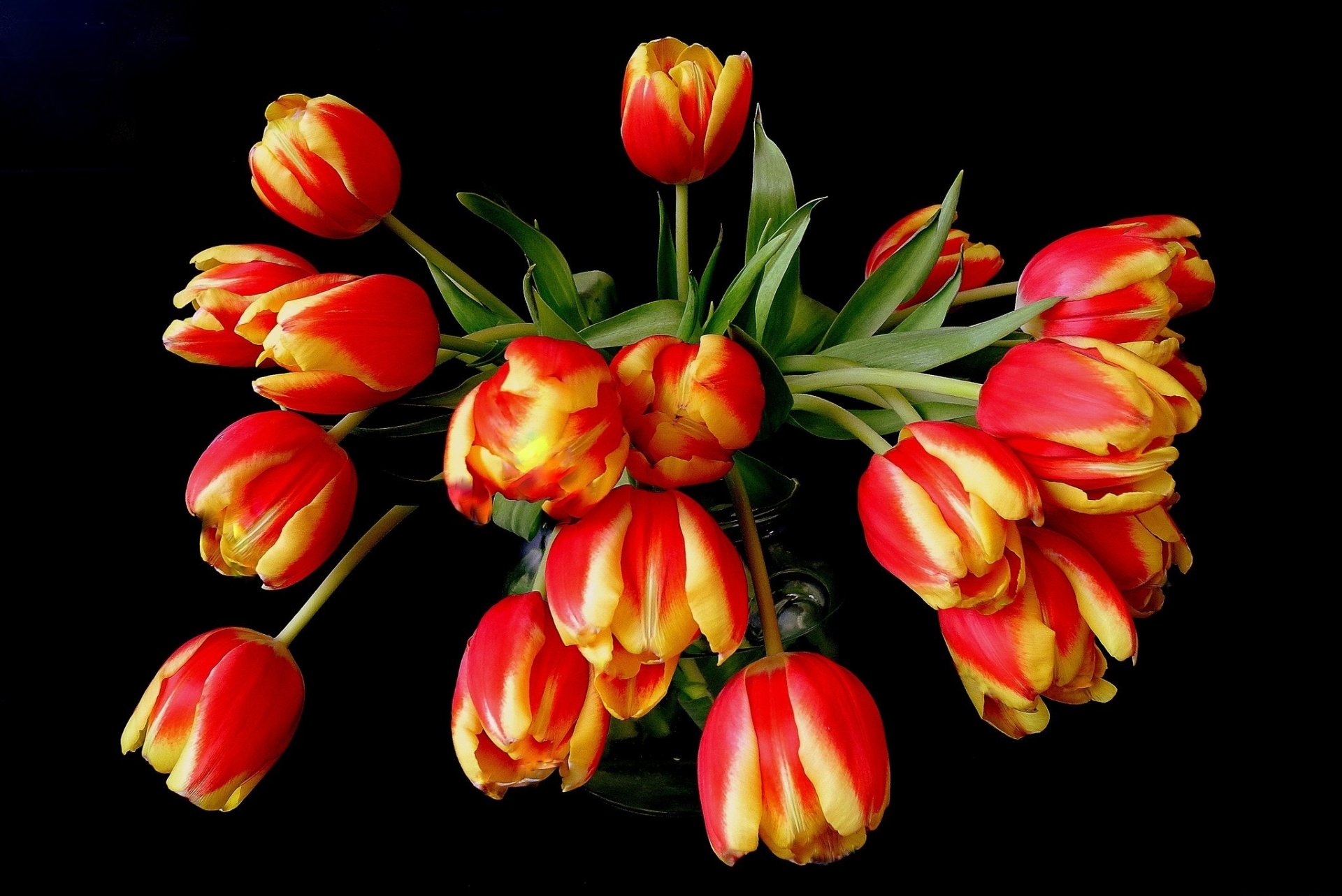 flower bouquet tulips orange red yellow vase black background