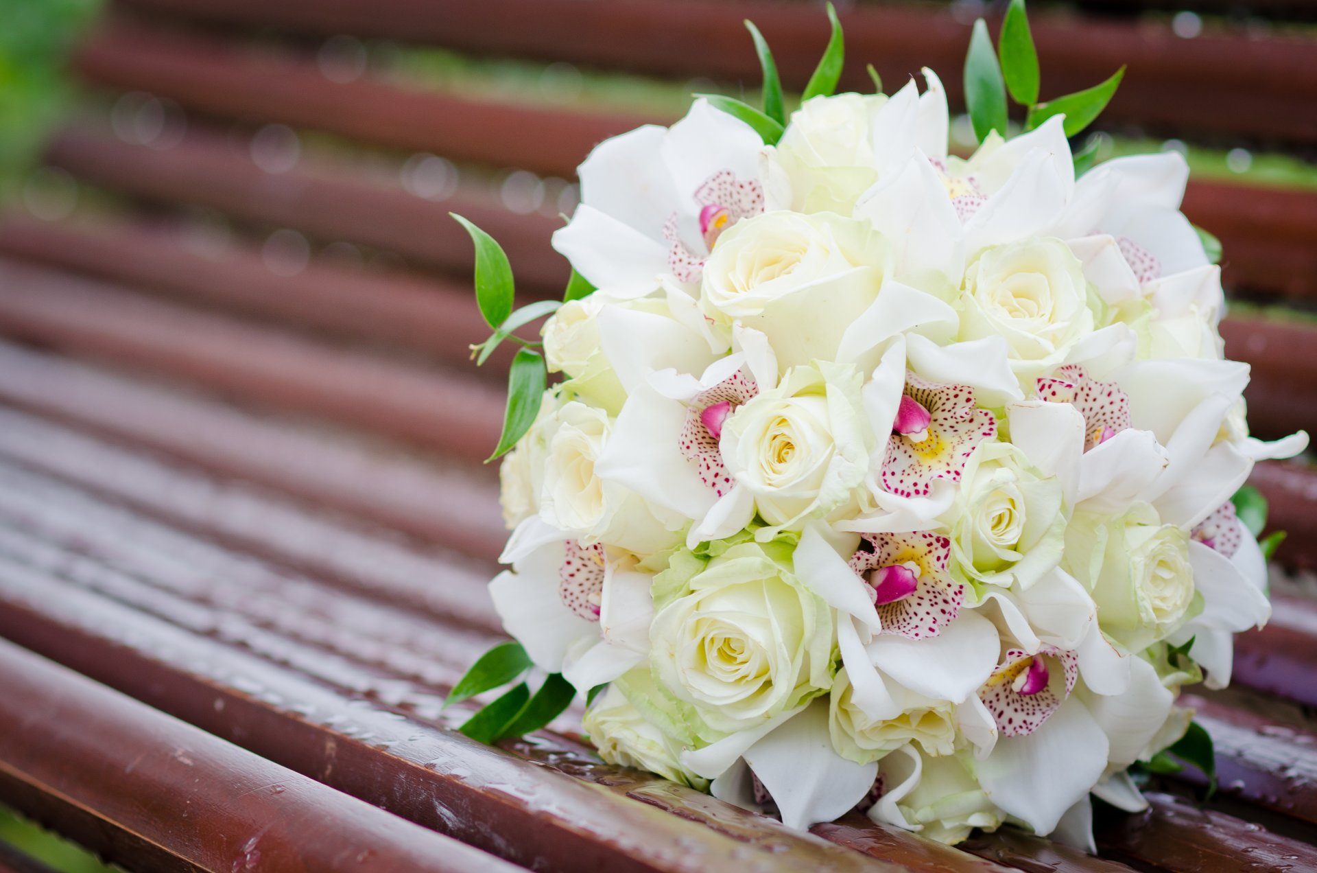 rosas orquídeas blanco ramo flores banco banco