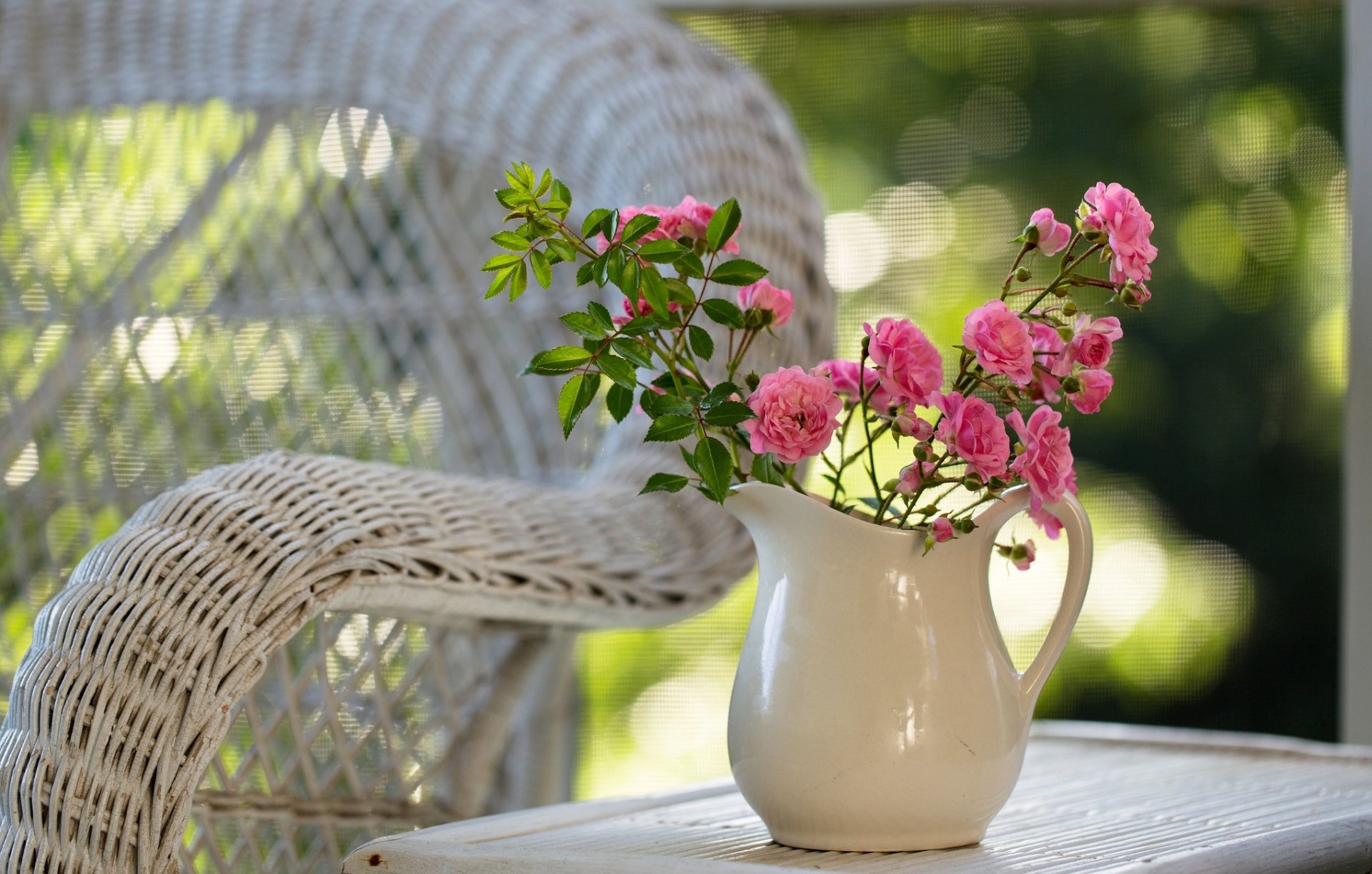 roses pink pitcher table chair nature flower