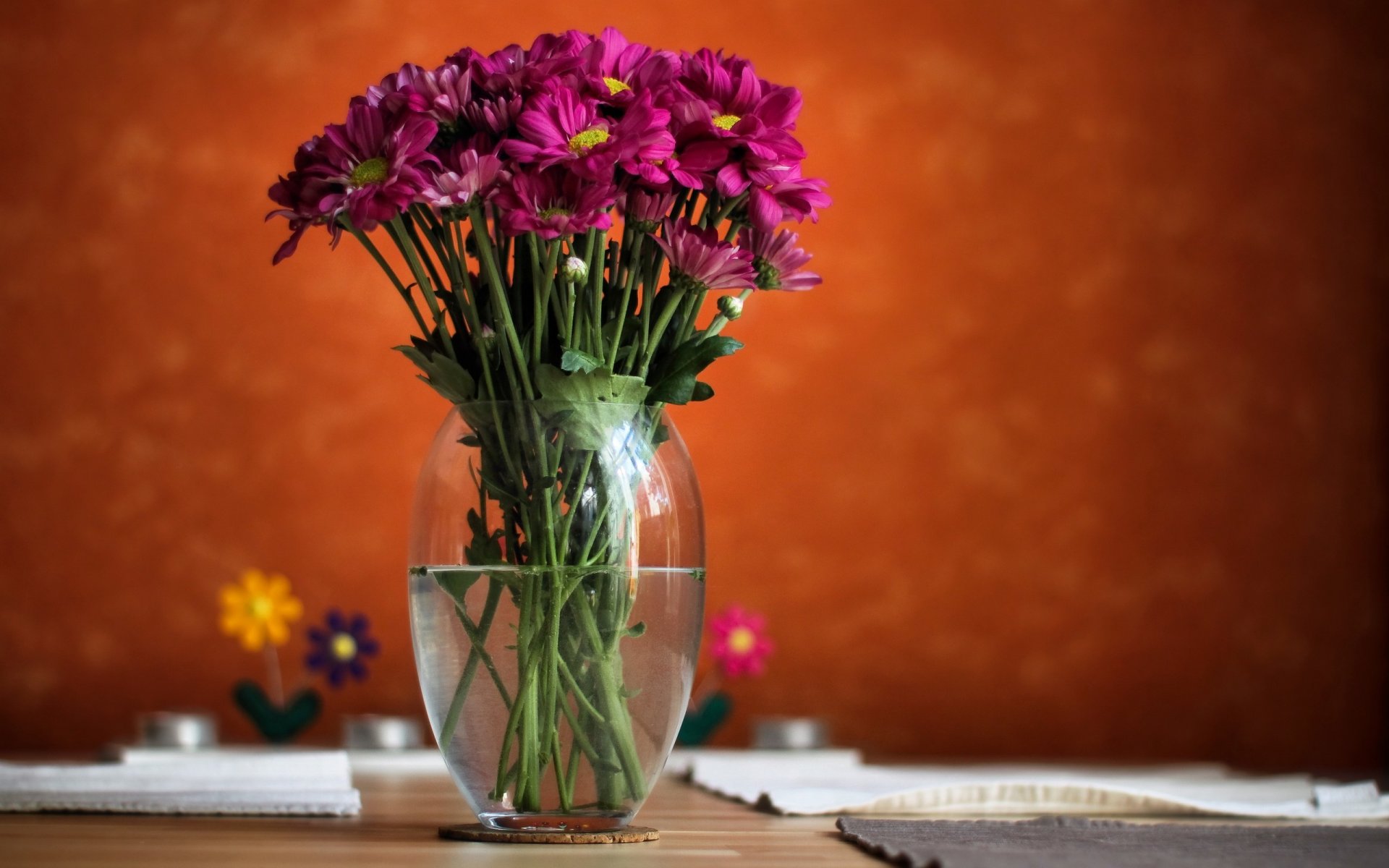 vase wasser blumen rosa hintergrund unschärfe